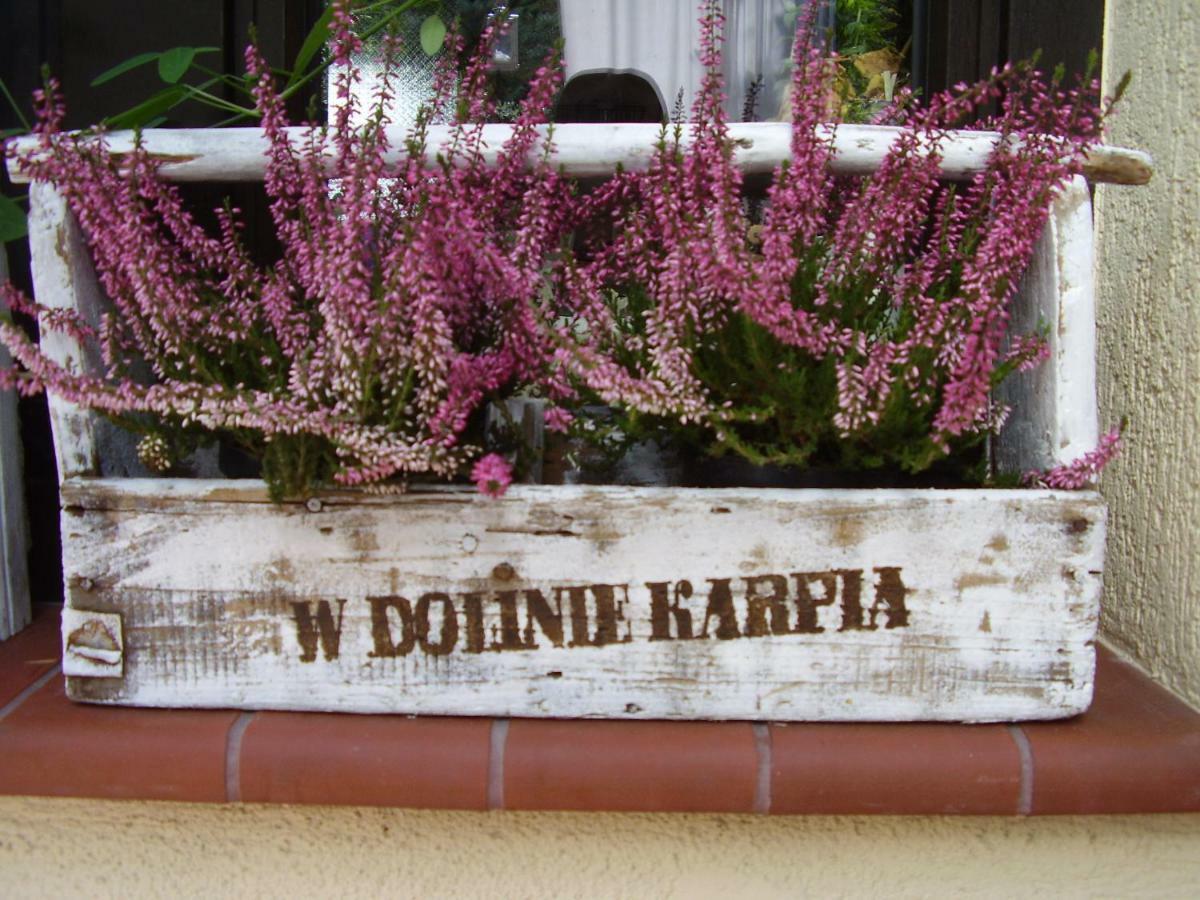 Ranczo W Dolinie Karpia - Blisko 